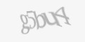 Защитный код
